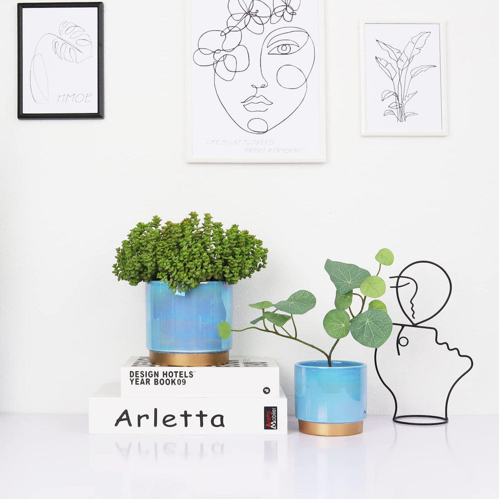 Gepege 4-inch ceramic pot with cactus plant
