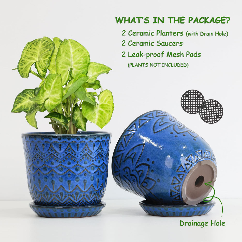 Gepege 6 inch ceramic plant pot on a windowsill with houseplants