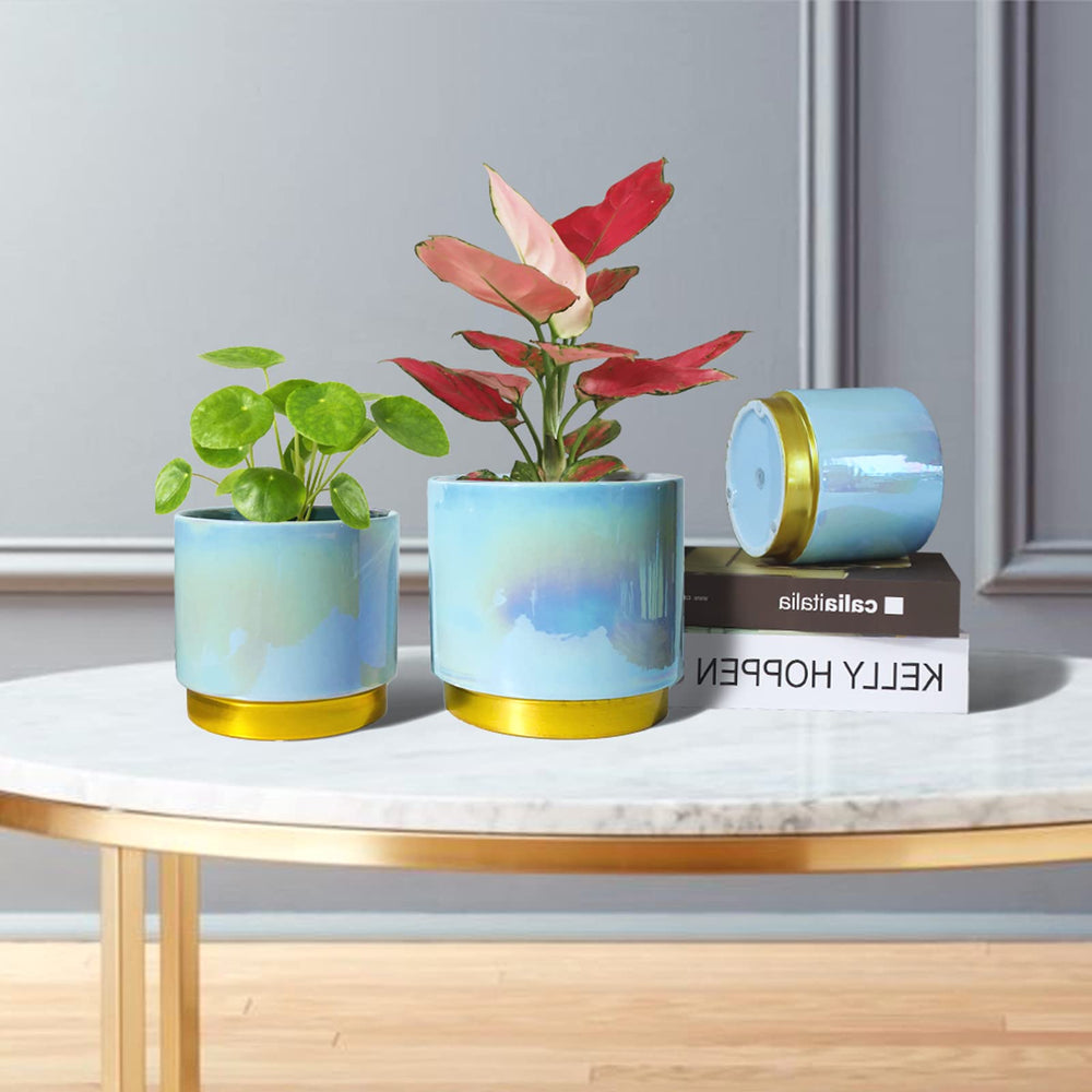 Gepege 6-inch ceramic pot with succulent plant