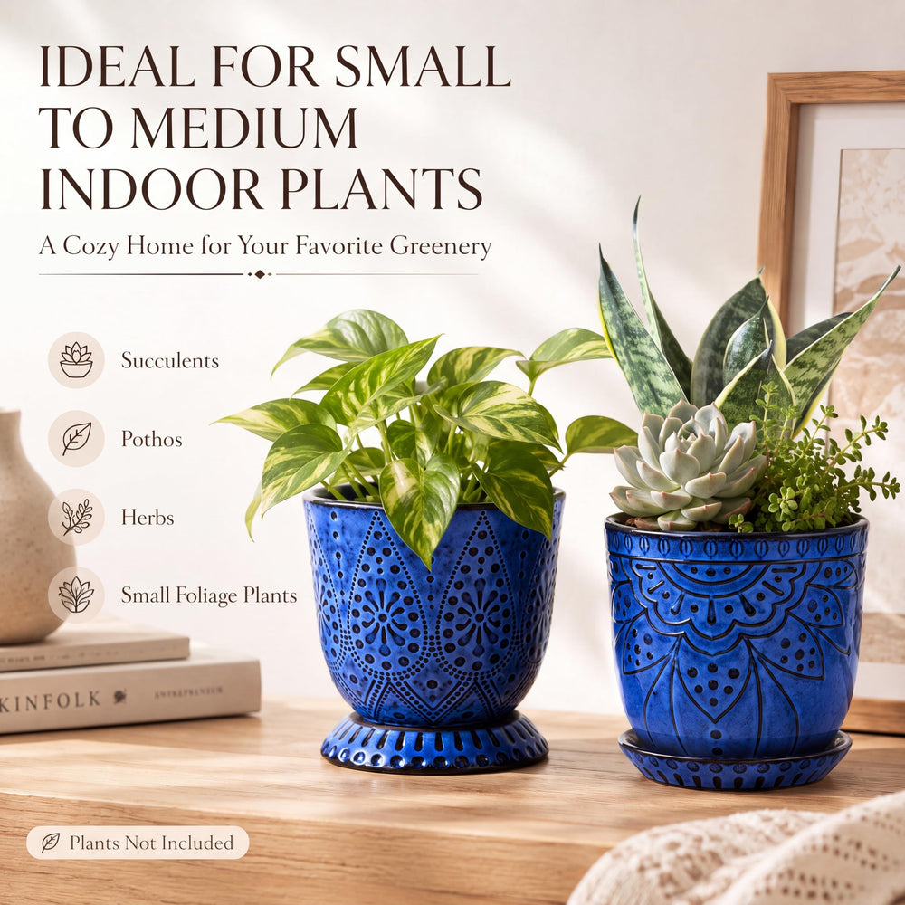 Gepege 6-inch ceramic pots package with saucers