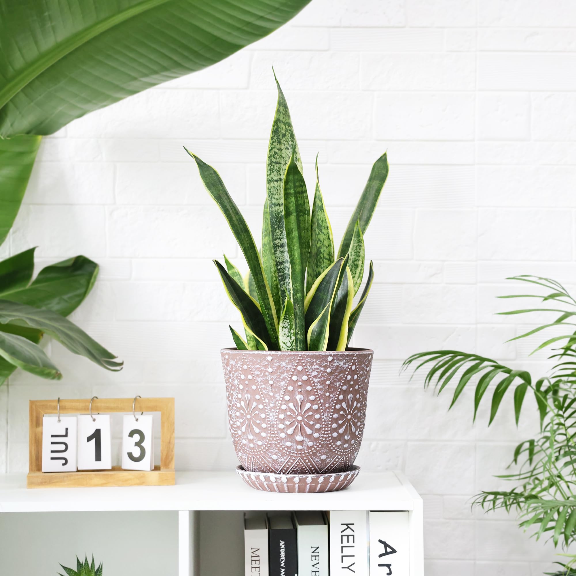 Gepege 8 Inch Ceramic Plant Pot on a windowsill with flowers