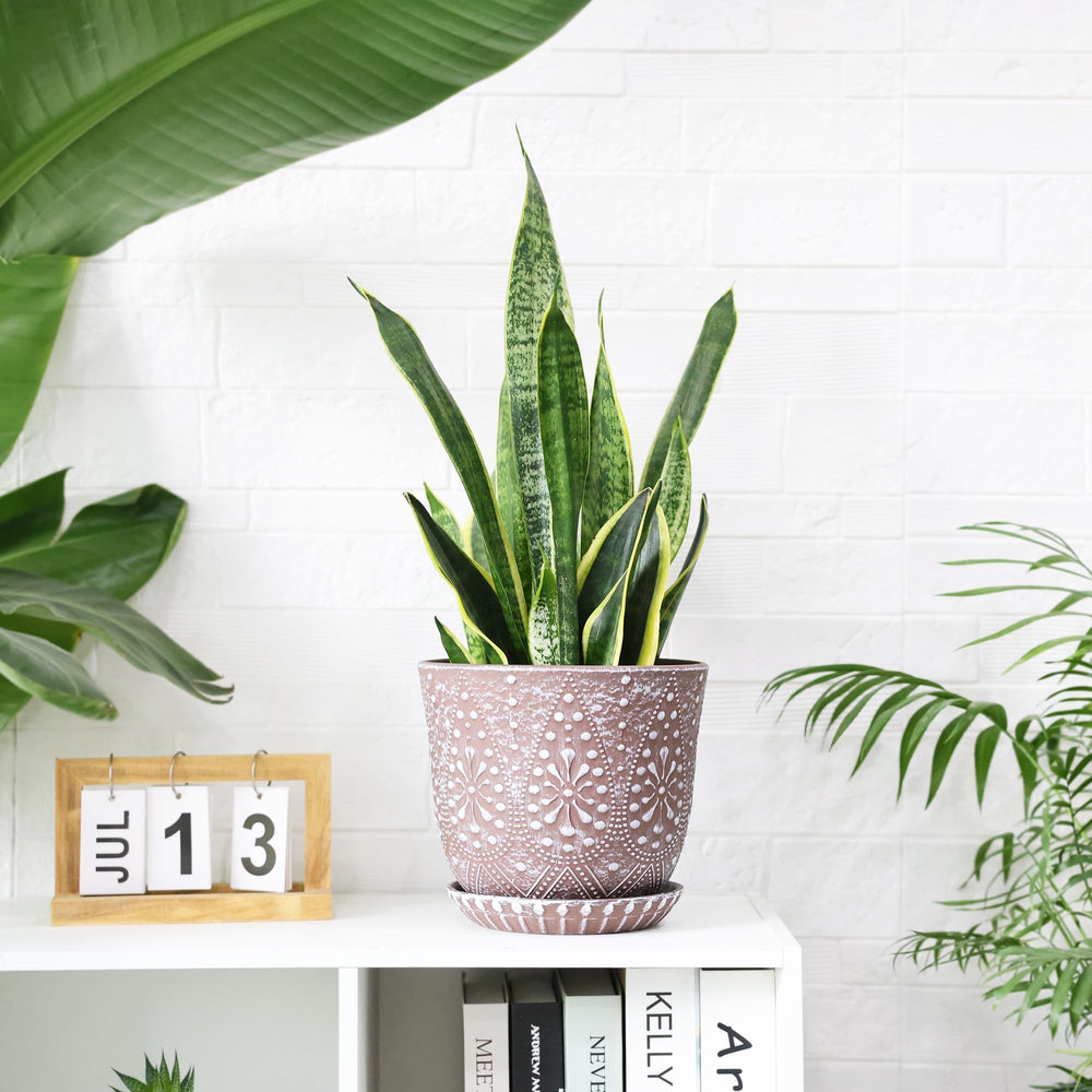 Gepege 8 Inch Ceramic Plant Pot on a windowsill with flowers