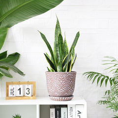 Gepege 8 Inch Ceramic Plant Pot on a windowsill with flowers