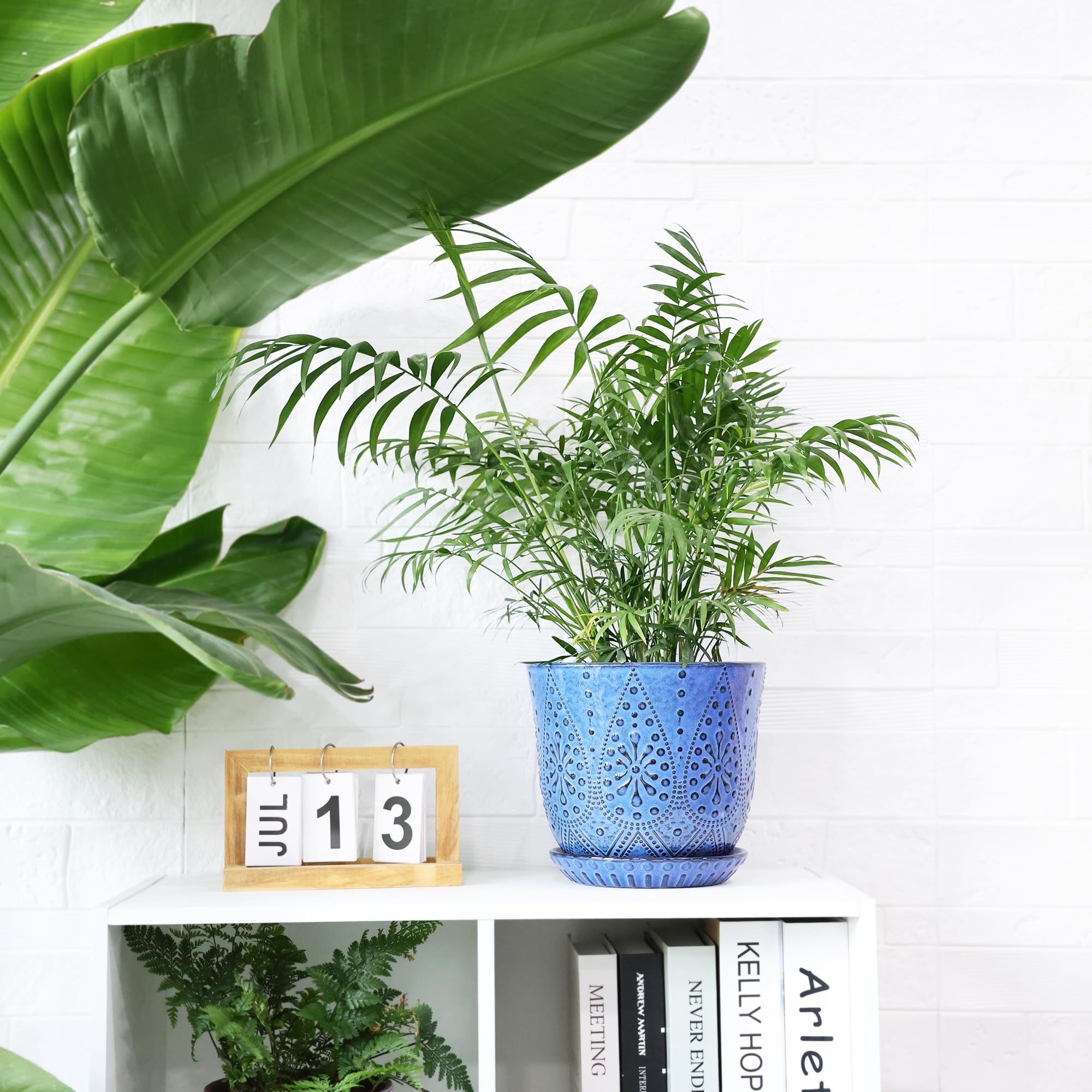 Gepege 8 Inch Ceramic Plant Pot with succulent plant inside