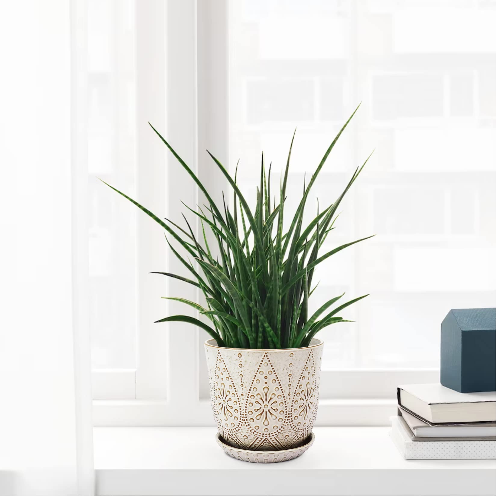 Gepege 8 Inch White Ceramic Plant Pot with ornamental plants