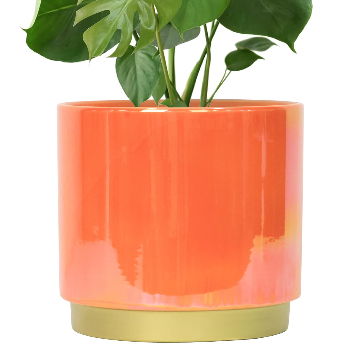 Gepege 9.6-inch peach ceramic planter front view