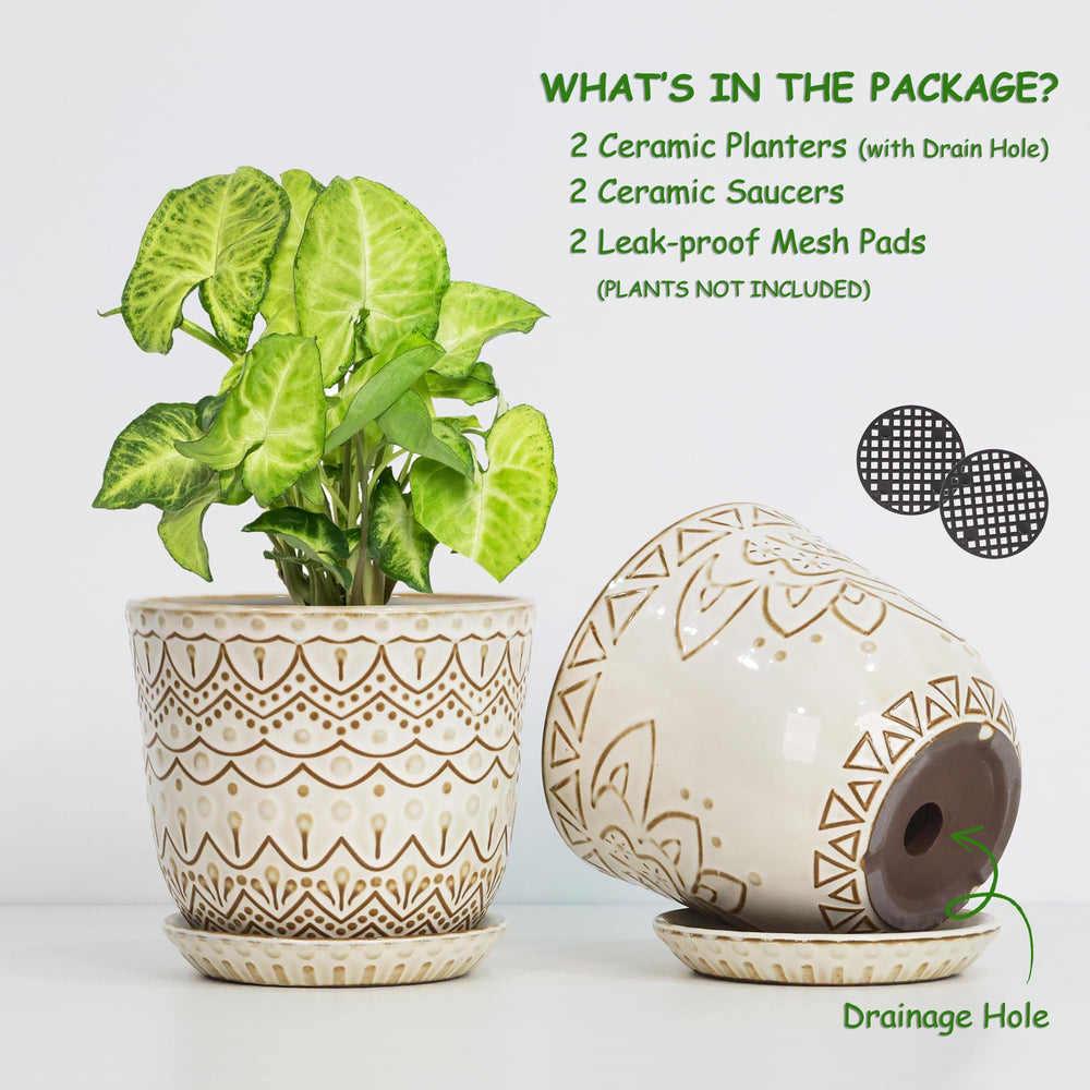 Gepege ceramic plant pot on a windowsill with succulents