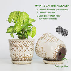 Gepege ceramic plant pot on a windowsill with succulents