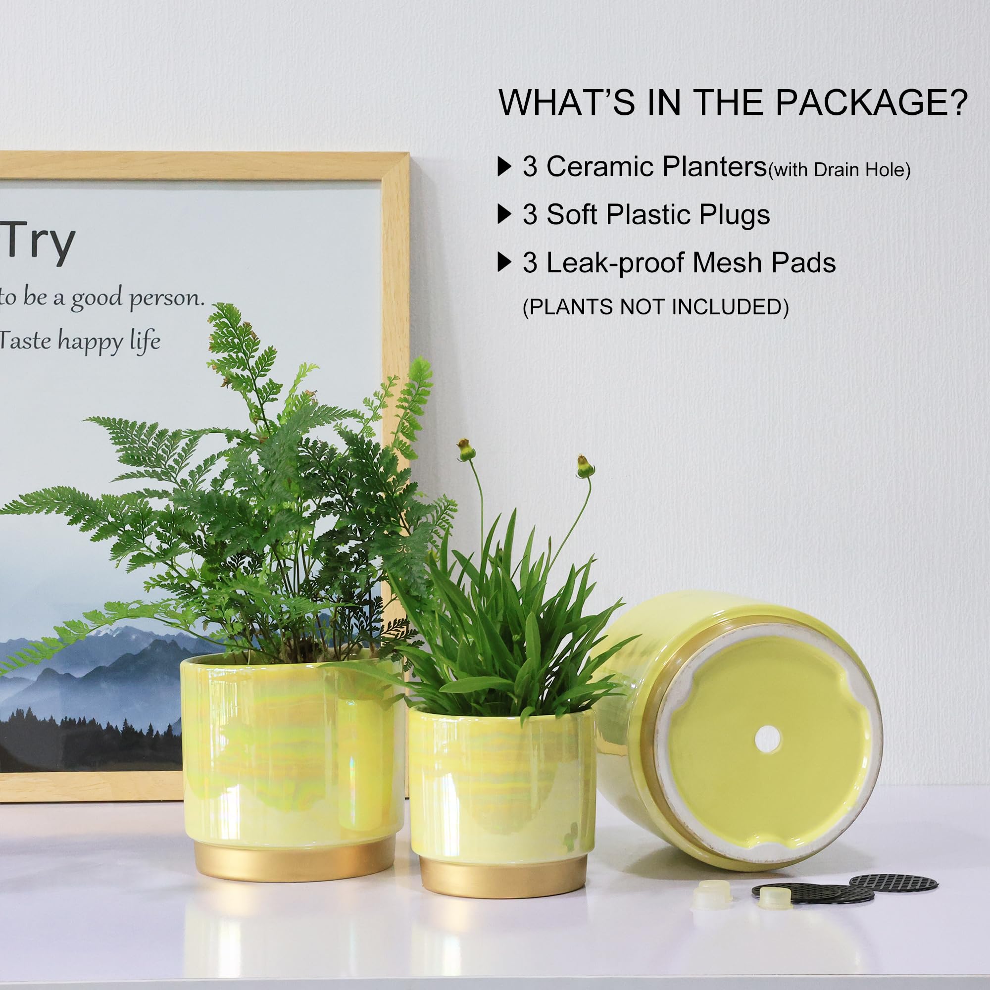 Gepege ceramic plant pots on a windowsill