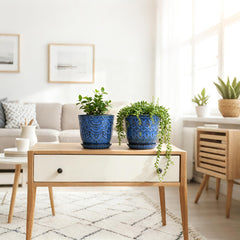 Gepege ceramic planter with succulent on a modern desk
