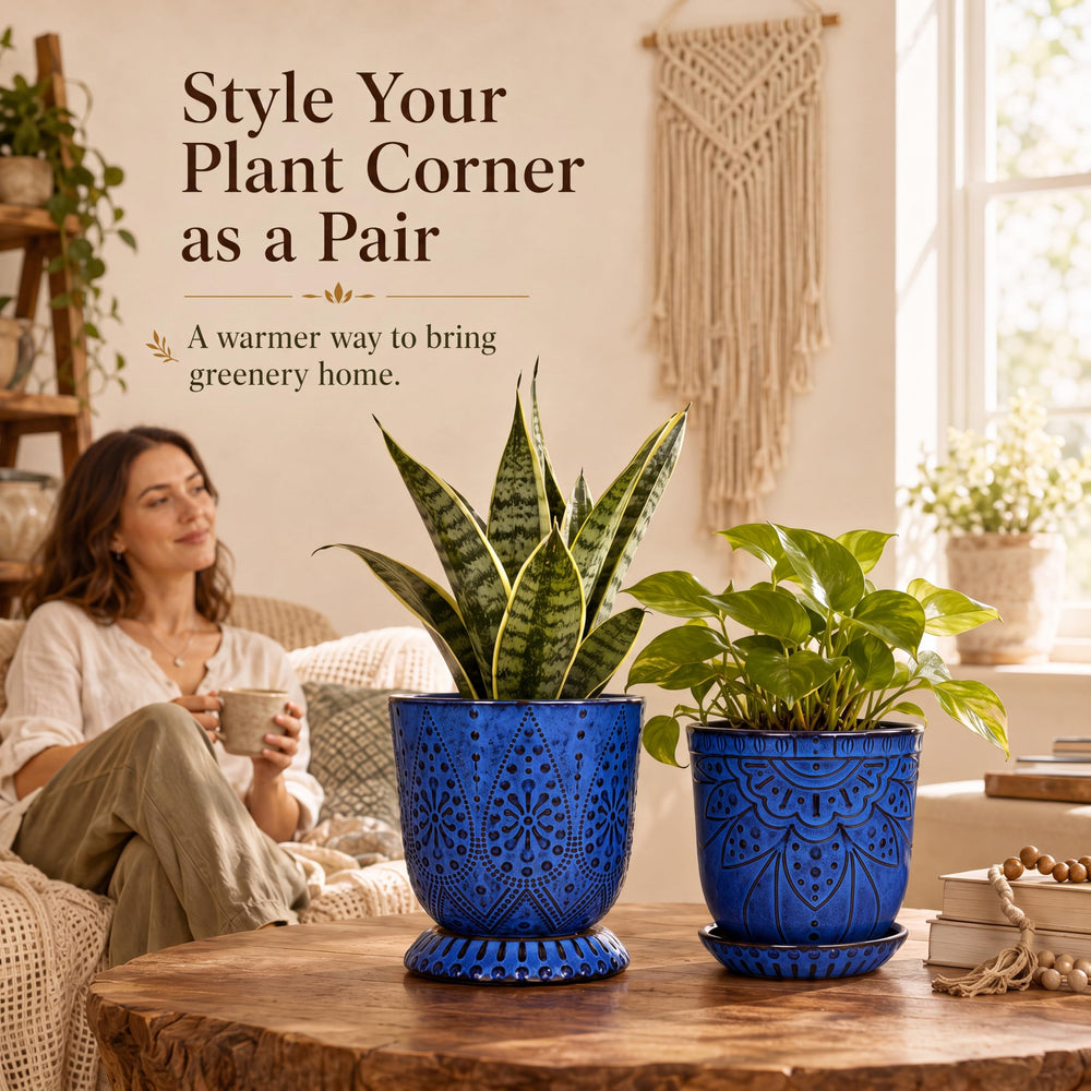 Gepege ceramic planter with succulent on a tabletop