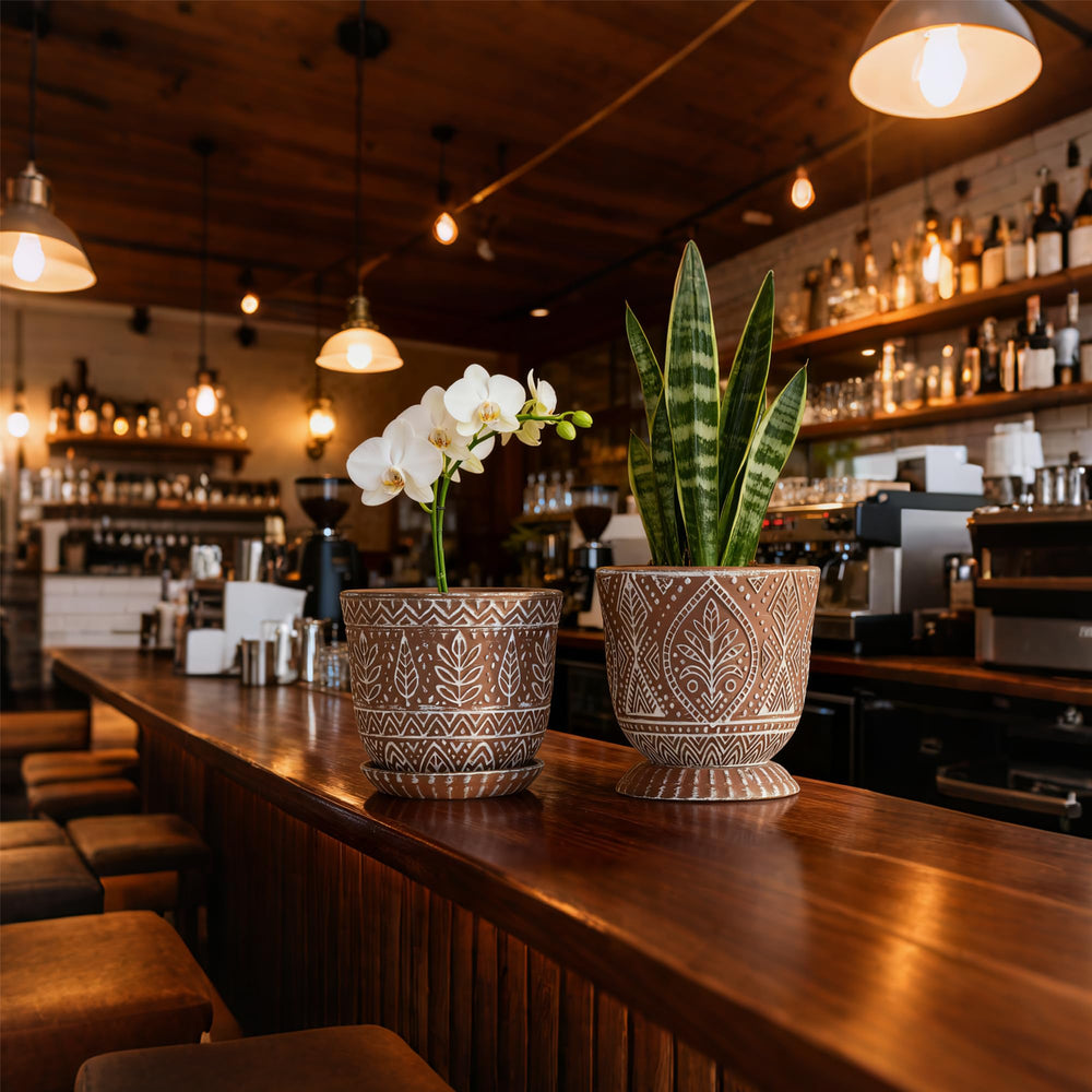 Gepege ceramic planters arranged in a modern interior