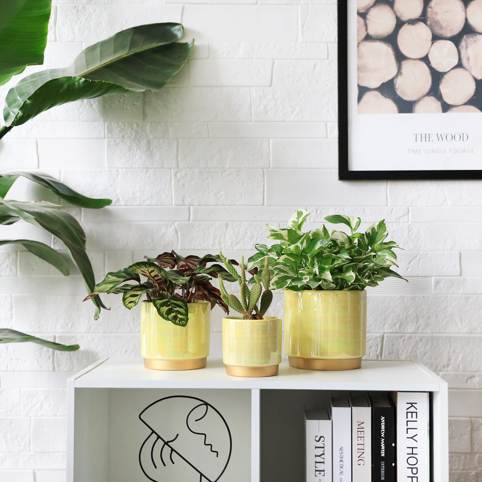 Gepege ceramic pot set with mesh pads and stoppers
