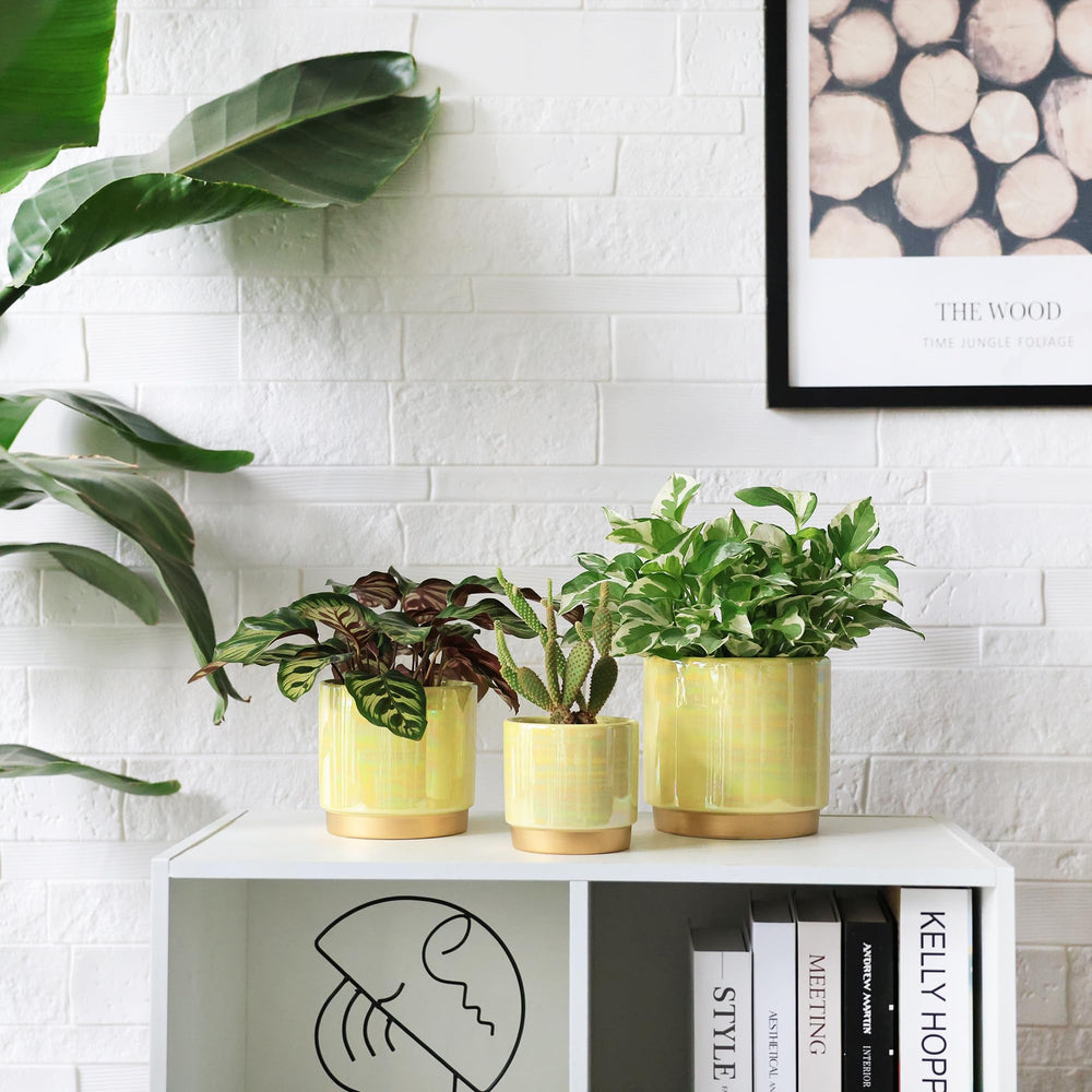 Gepege ceramic pot set with mesh pads and stoppers