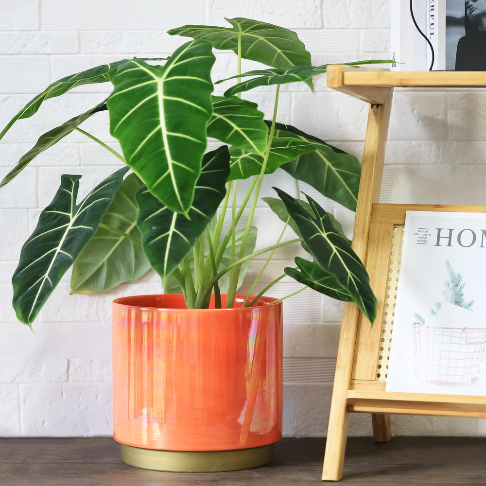 Gepege large ceramic planter with rainbow glaze