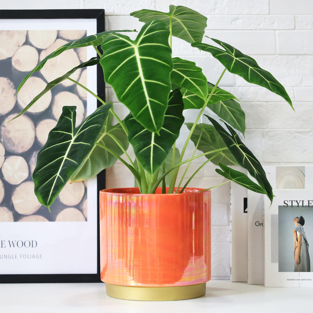 Gepege peach planter displayed in a living room