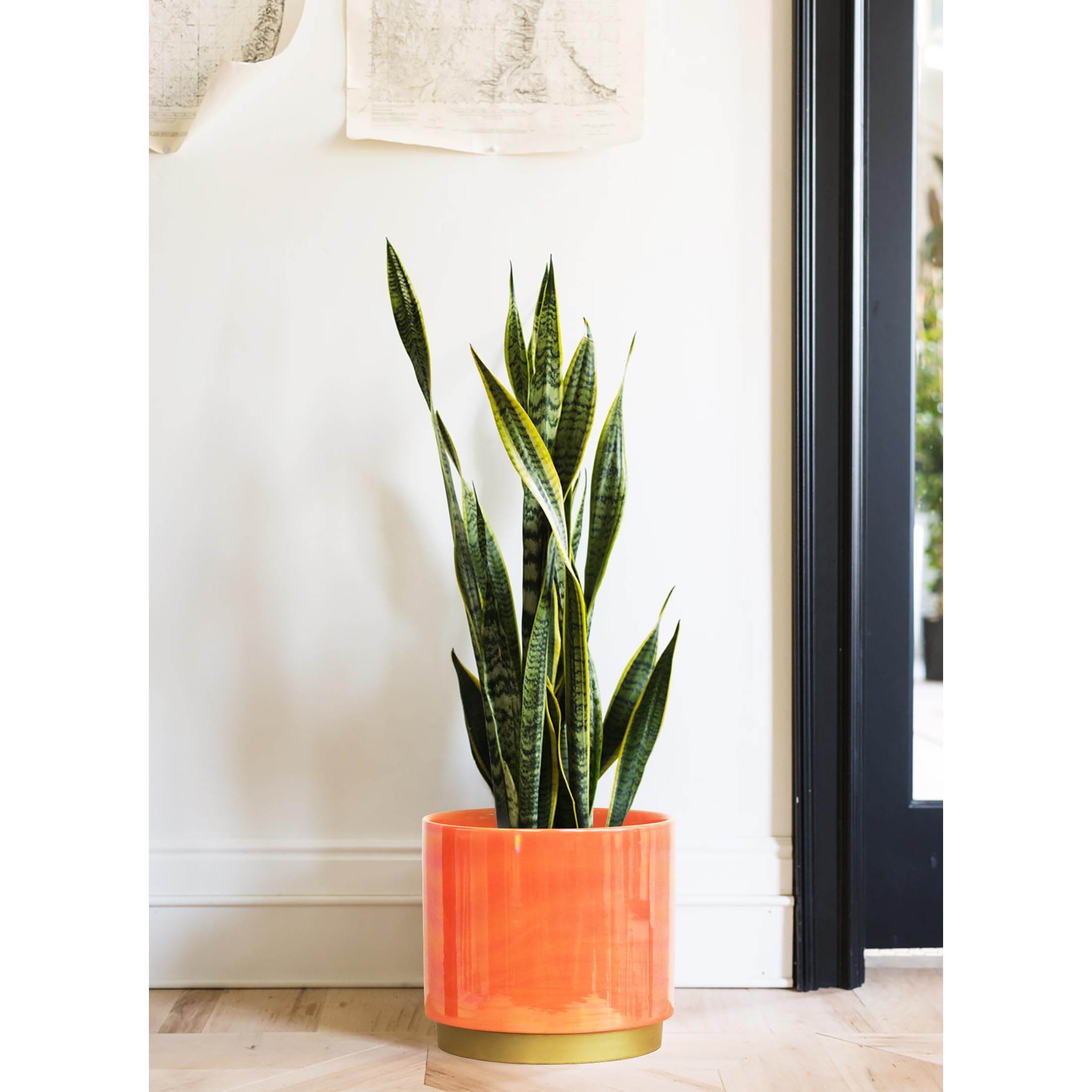 Gepege planter with various indoor plants
