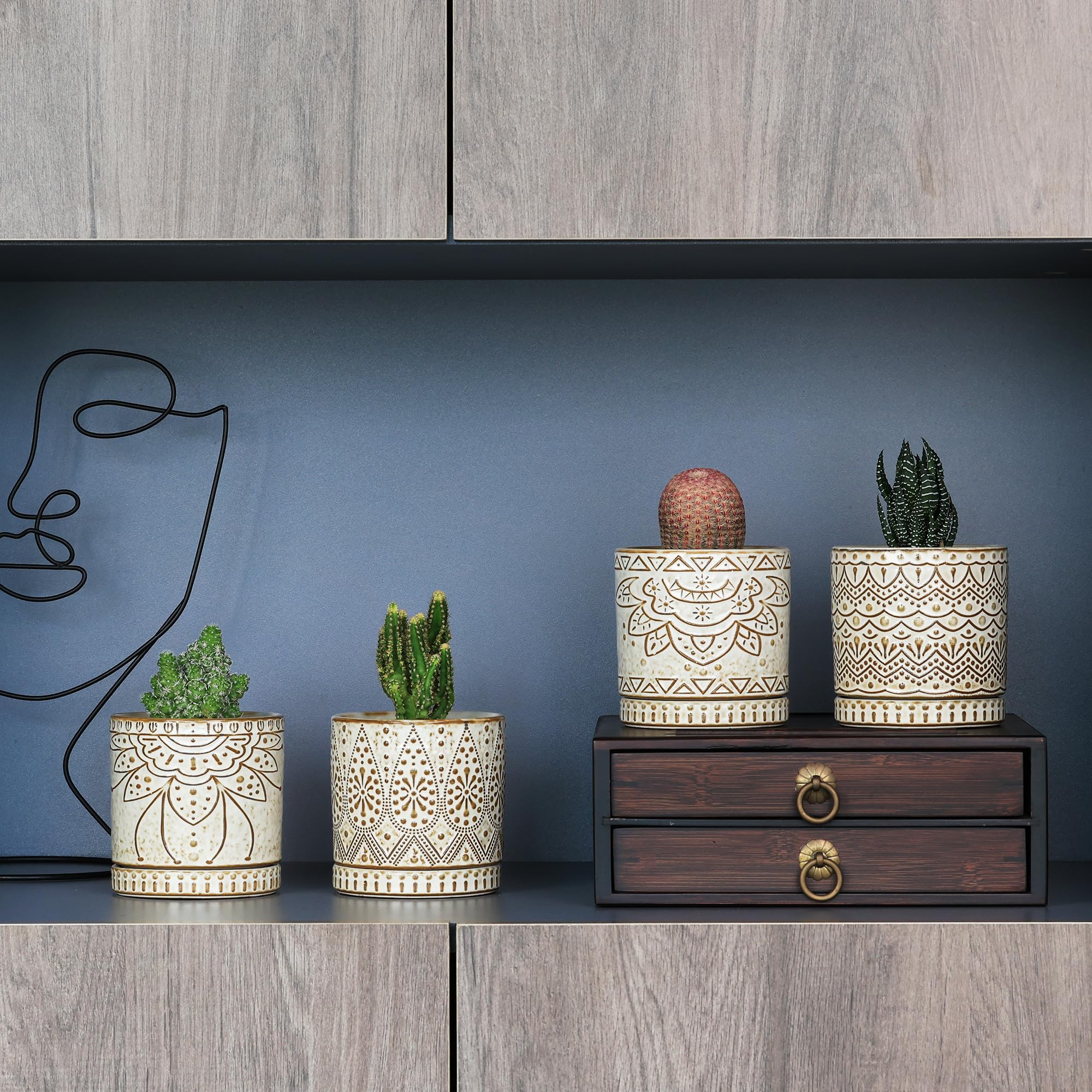 Gepege succulent pots displayed with small plants