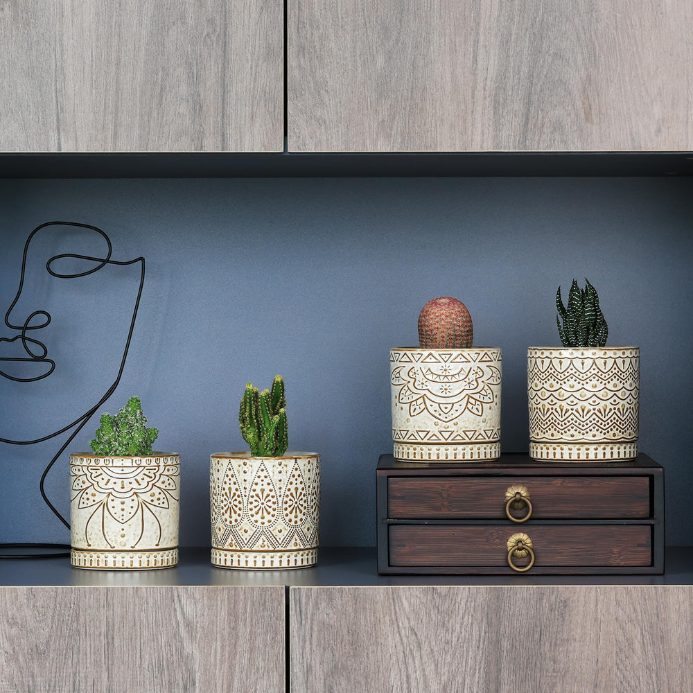 Gepege succulent pots displayed with small plants