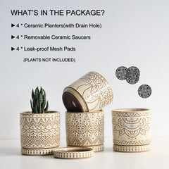 Gepege white ceramic pots with matching saucers