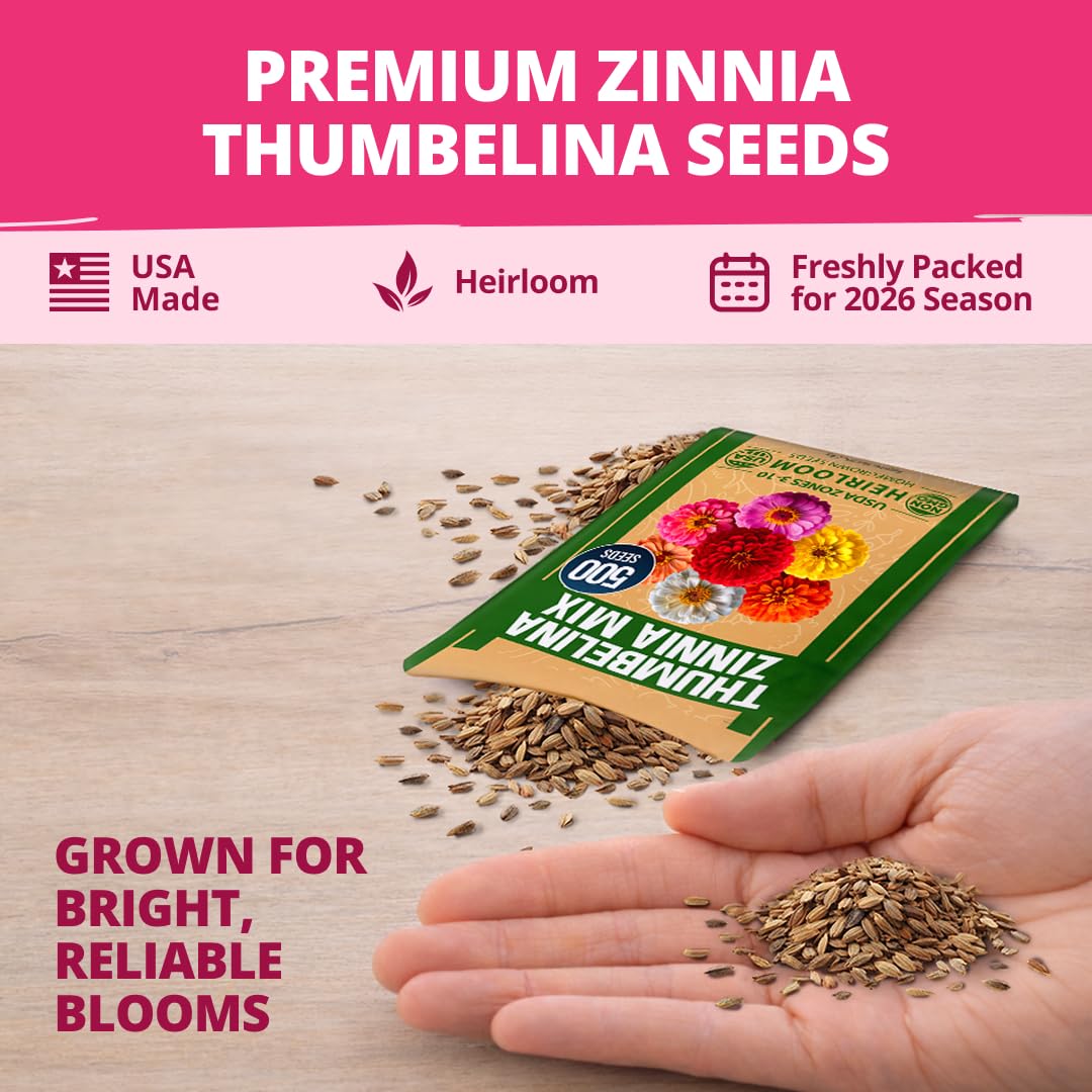Germination process of Thumbelina Zinnia seeds
