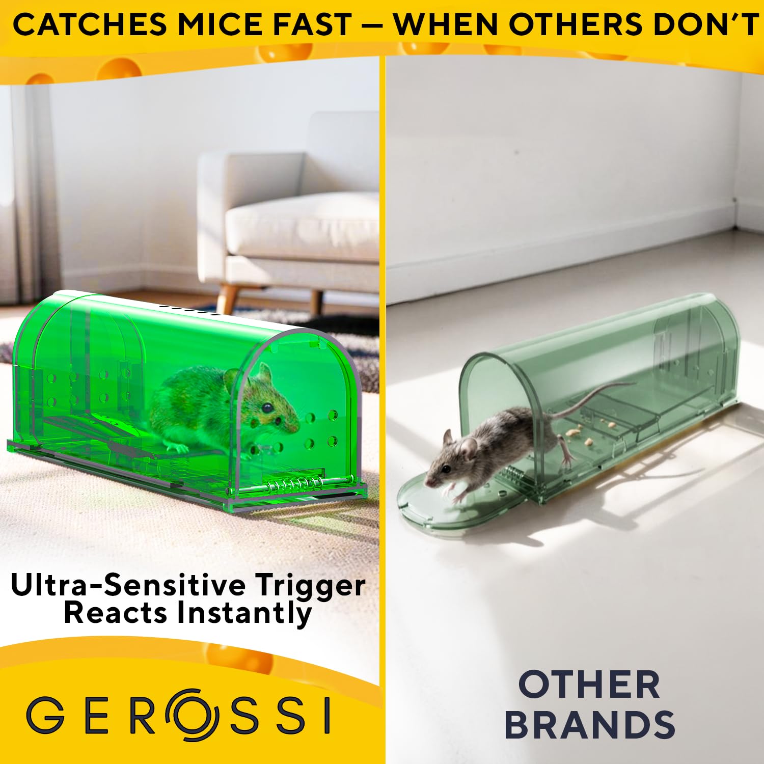 GEROSSI humane mouse trap bait compartment close-up