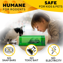 GEROSSI humane mouse trap transparent green side view