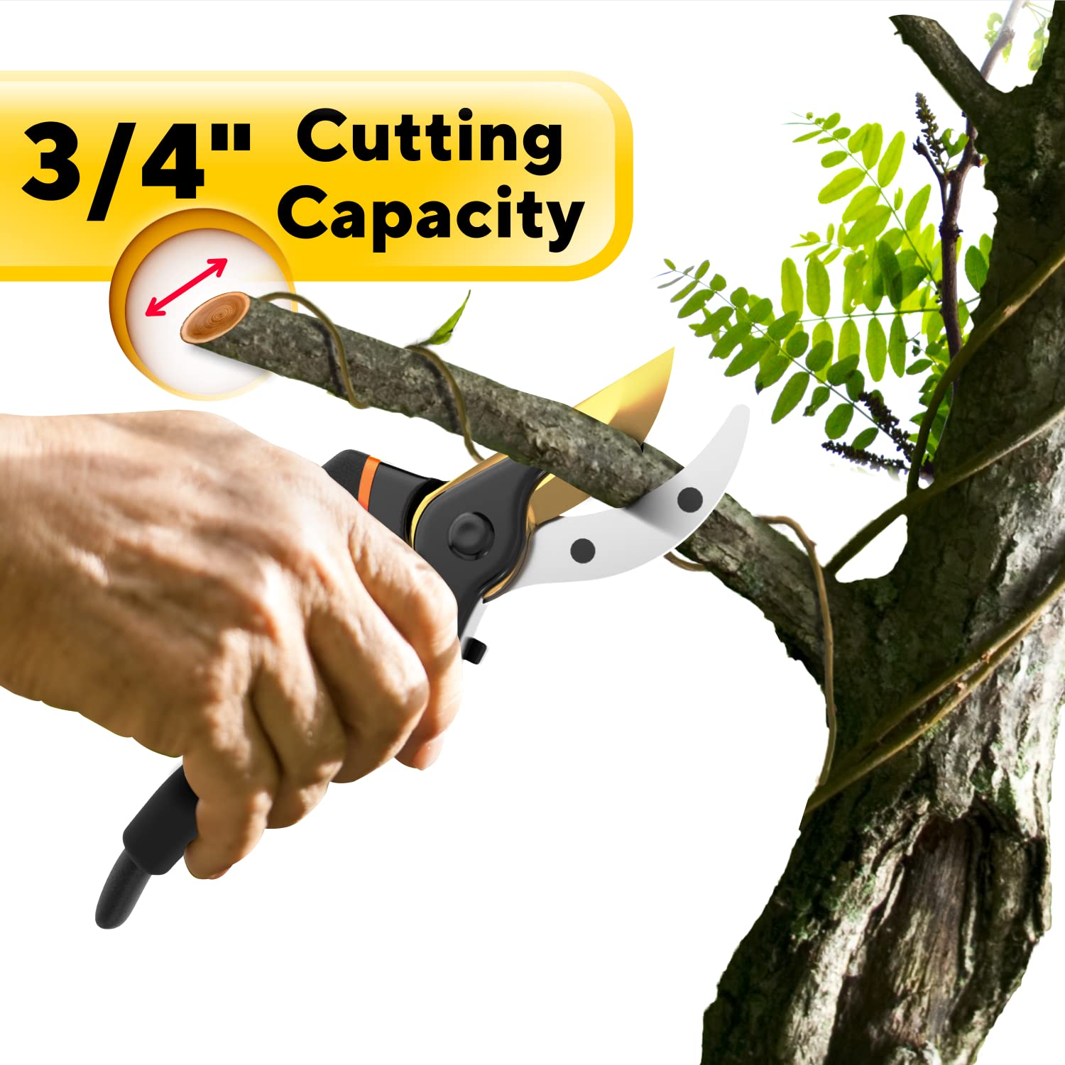 GEROSSI pruning shears showing SK5 carbon steel blade