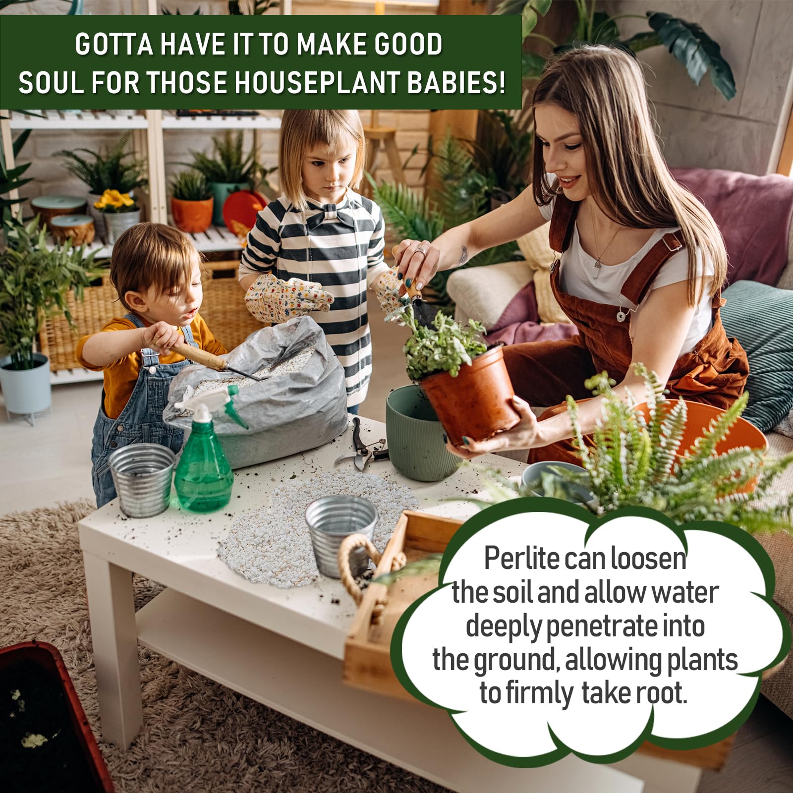 Gerta Organic Perlite in use, mixed with potting soil