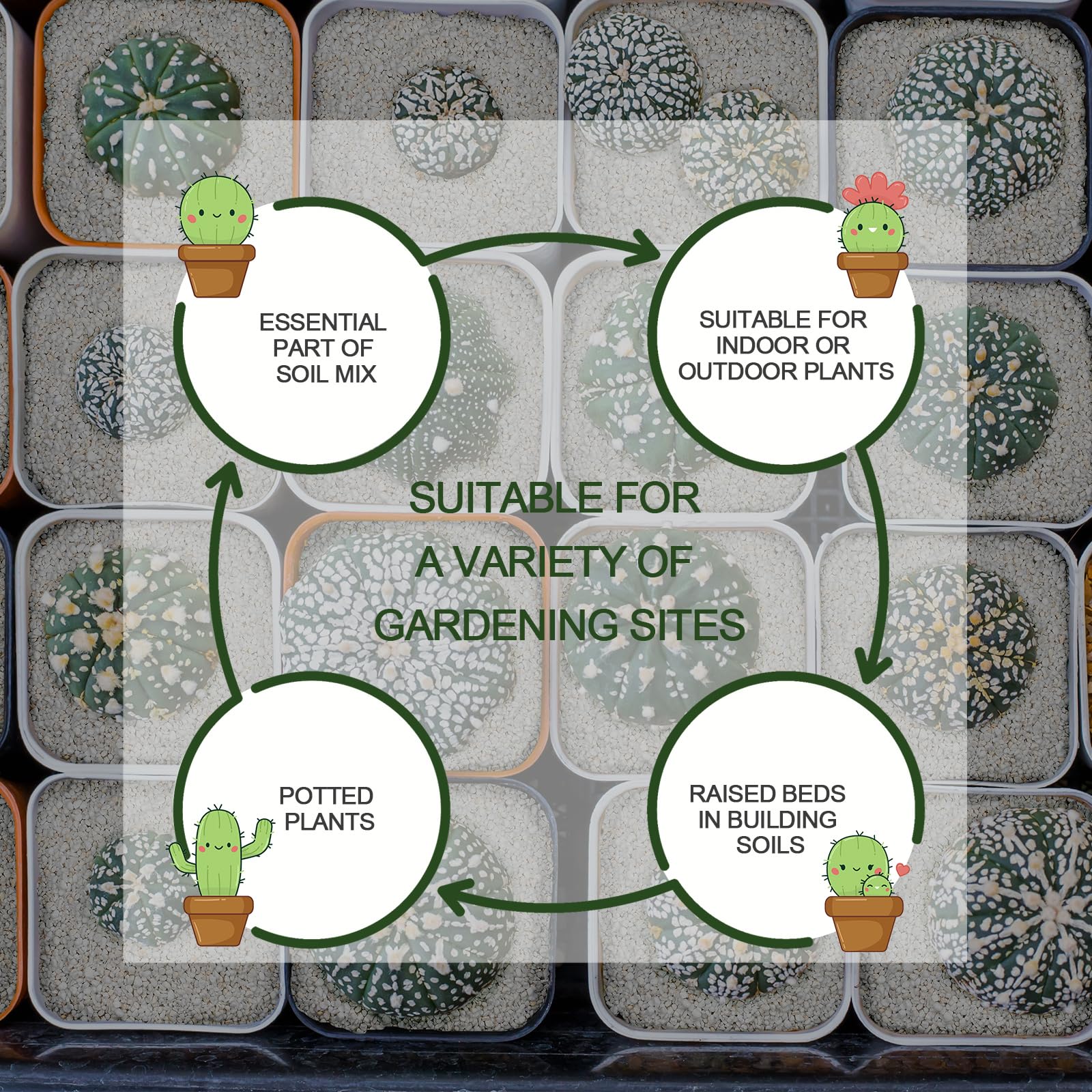 Gerta Organic Perlite with plants in a potting setup