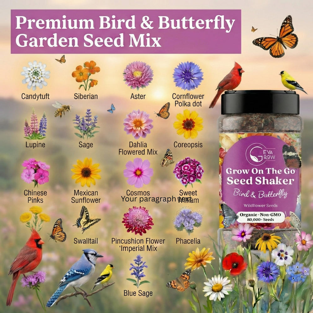 GevaGrow Bird and Butterfly Wildflower Mix close-up
