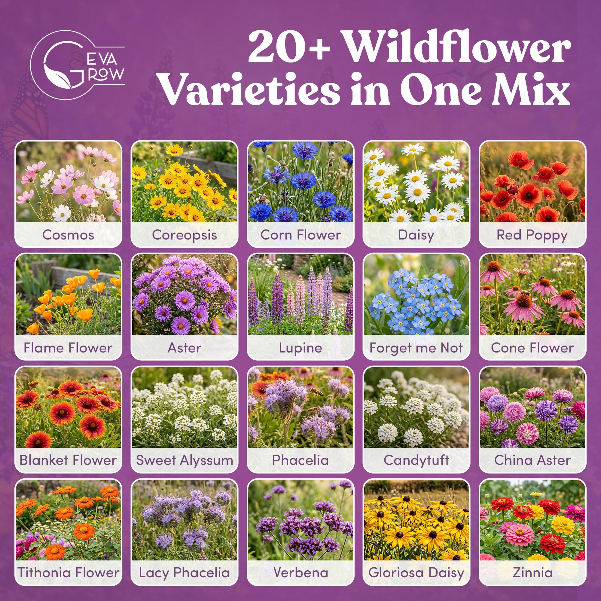 GevaGrow wildflower seed mix displayed outdoors in a garden setting
