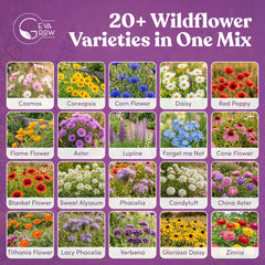 GevaGrow wildflower seed mix displayed outdoors in a garden setting