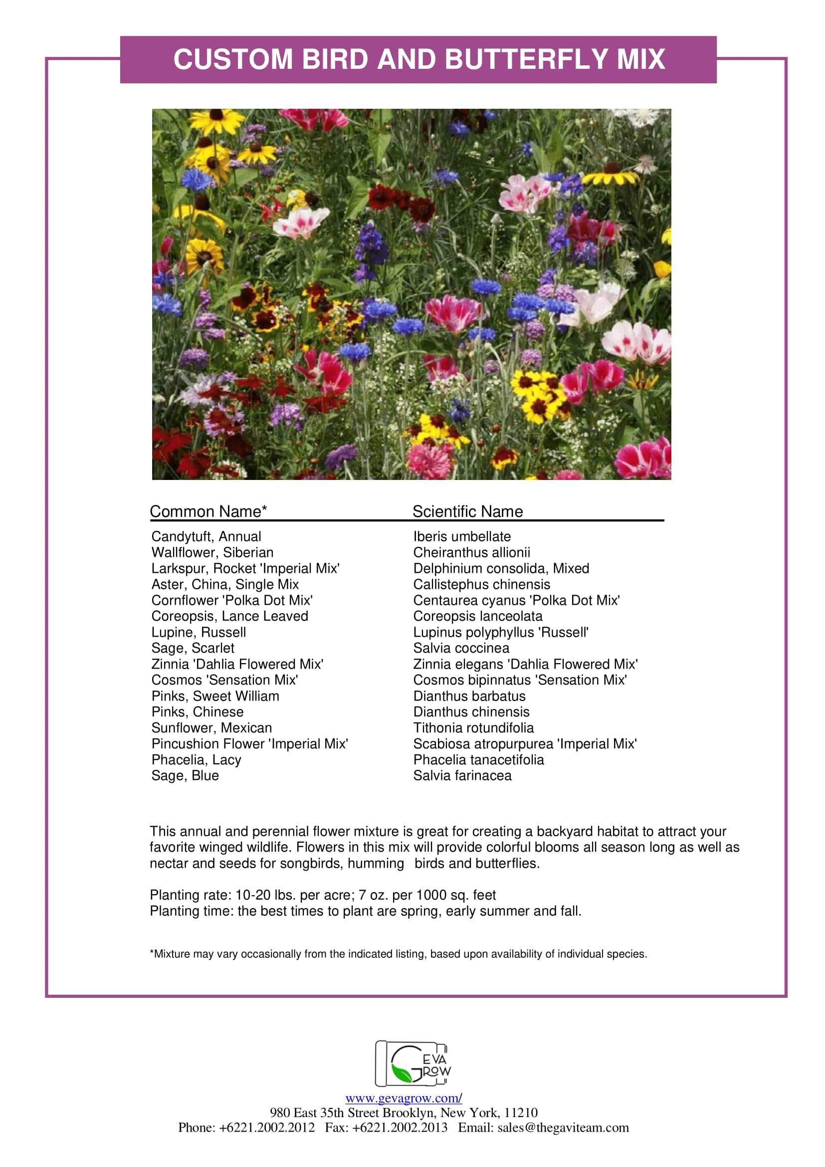 GevaGrow wildflower seed mix packaging showing organic label