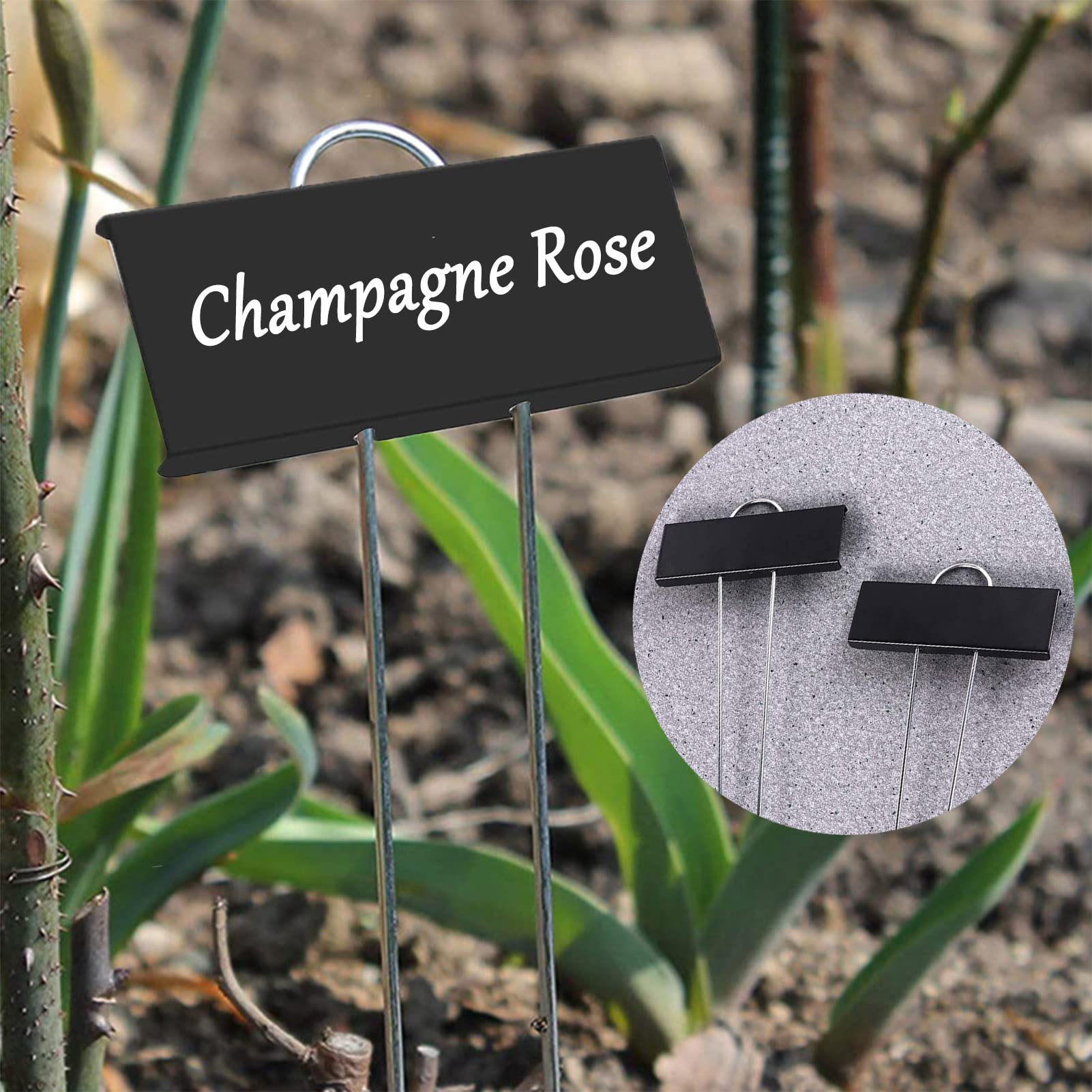 GHAMYEE plant markers on a potted plant