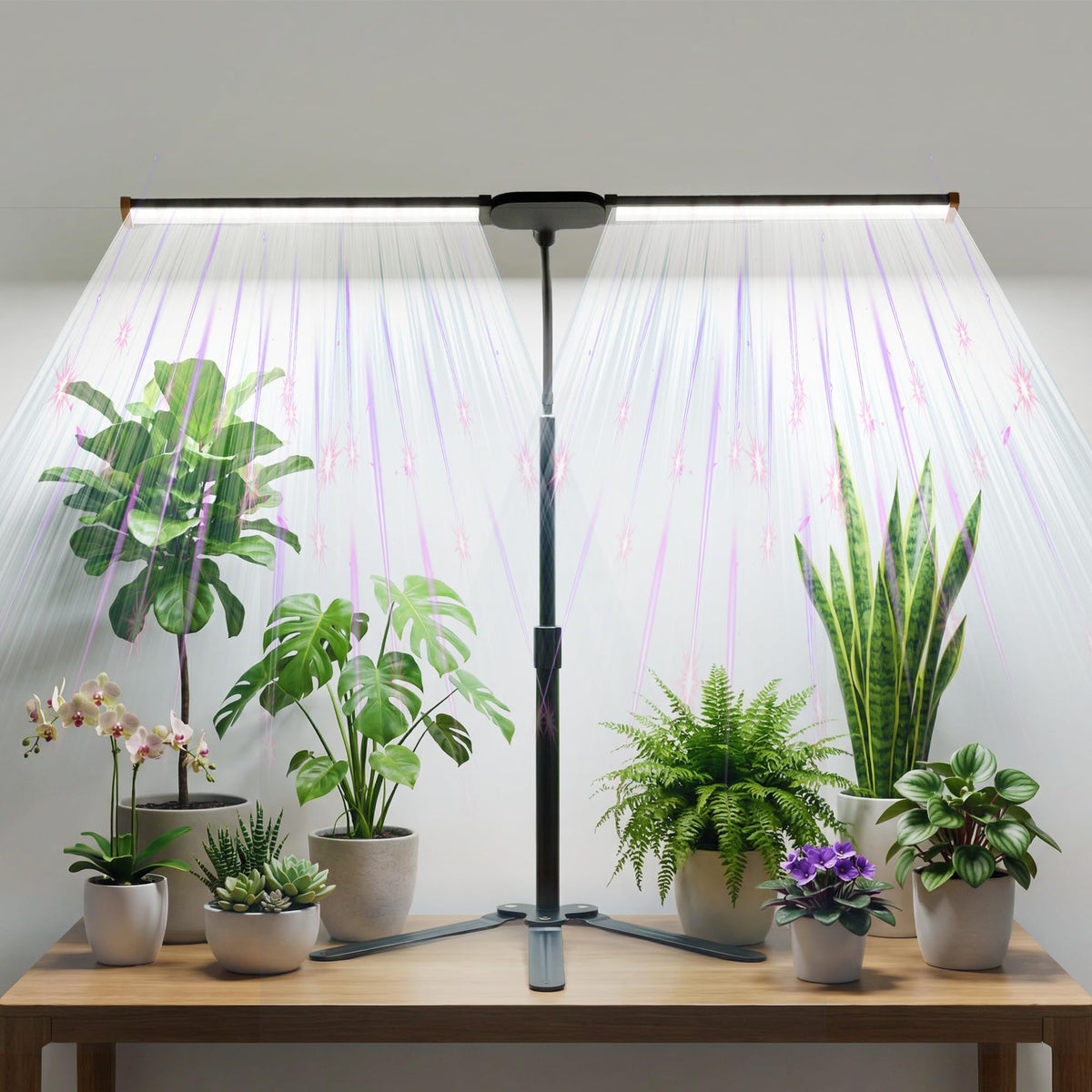 GHodec Grow Light black model front view with gooseneck