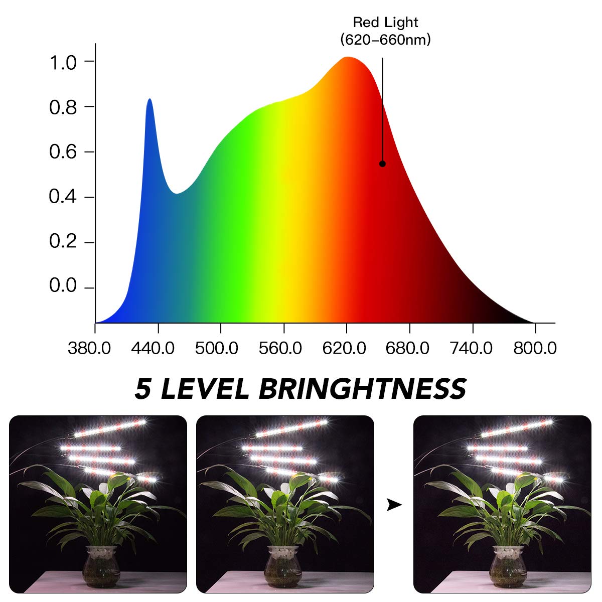 GHodec Grow Light showing 4 LED heads