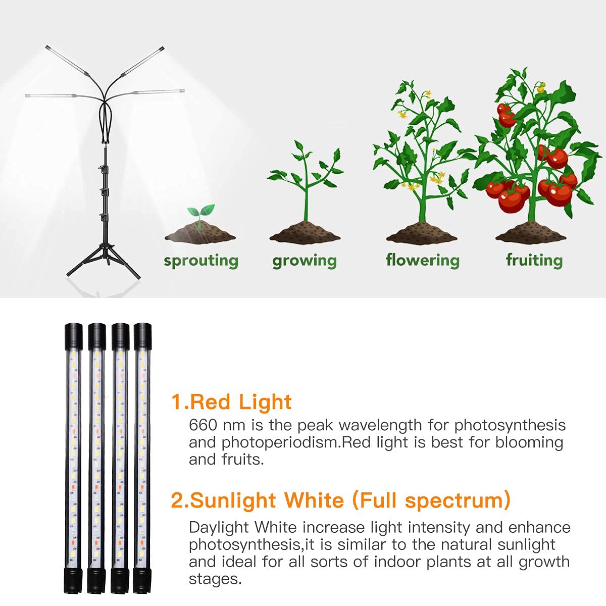 GHodec Grow Light with timer function close-up