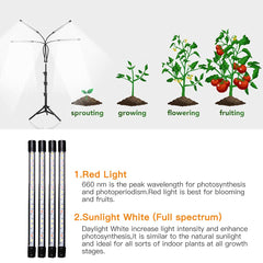 GHodec Grow Light with timer function close-up