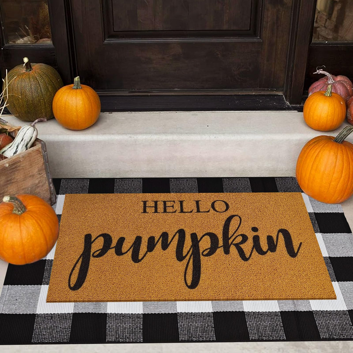 Giaueoa Fall Door Mat Combo Set featuring Hello Pumpkin design