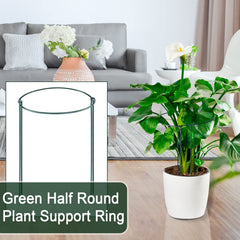 Gicare 12 Pack plant cages arranged in a garden