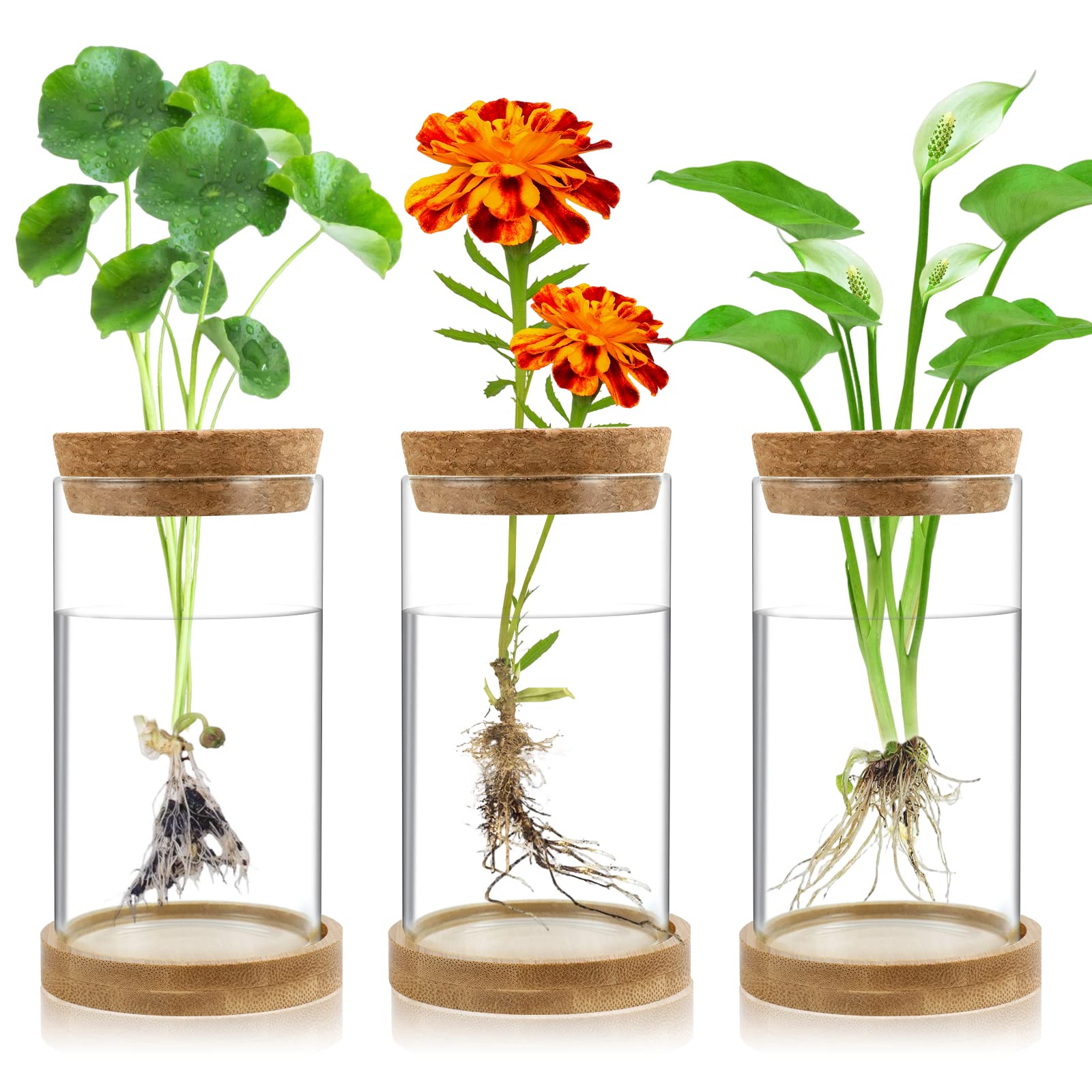 Gicare Plant Propagation Stations 3 pack with bamboo stands