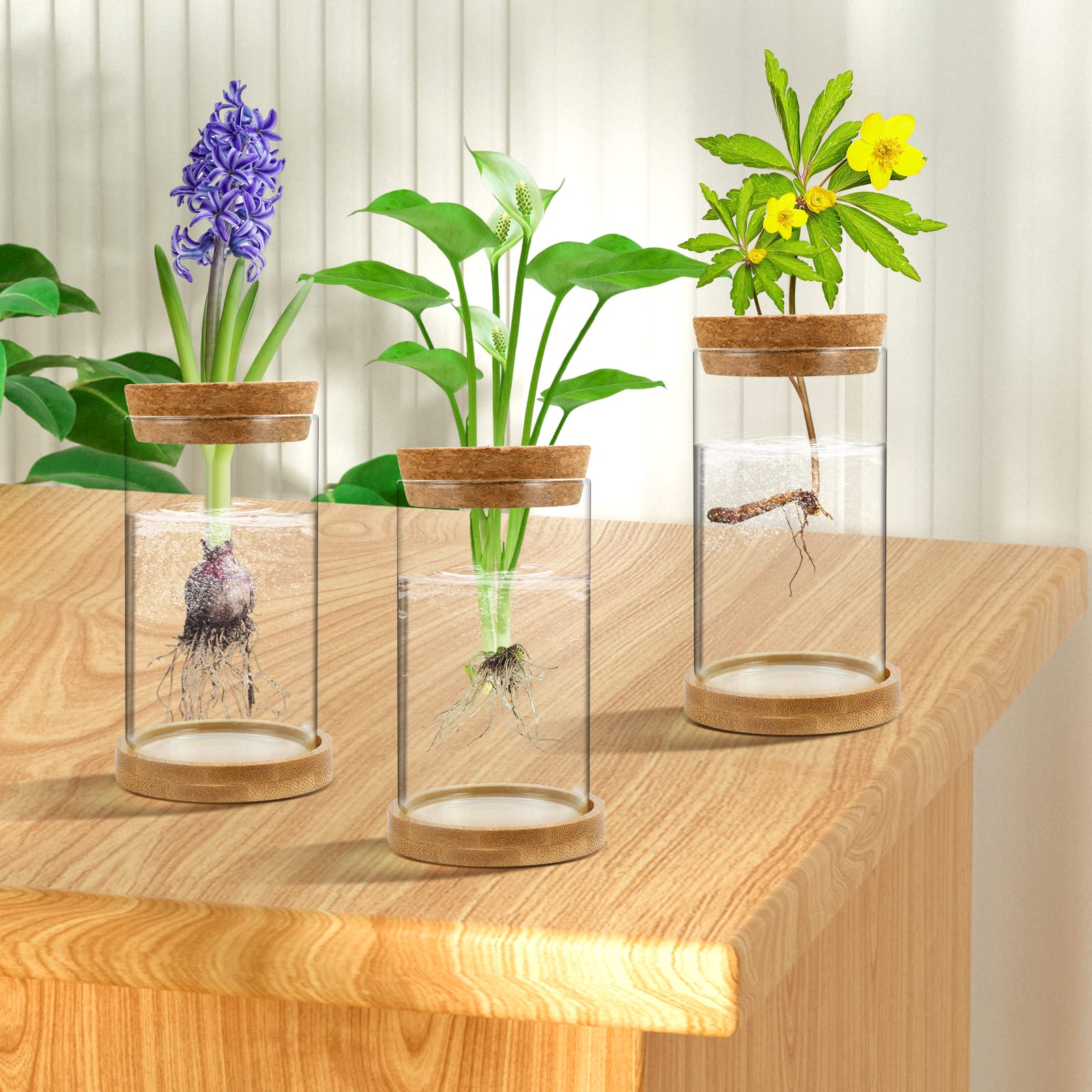 Gicare plant propagation stations displayed in a living room