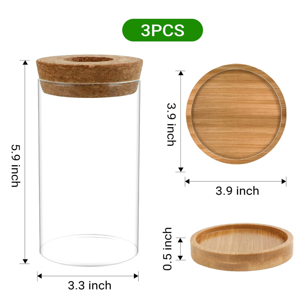 Gicare propagation station with bamboo saucer and cork