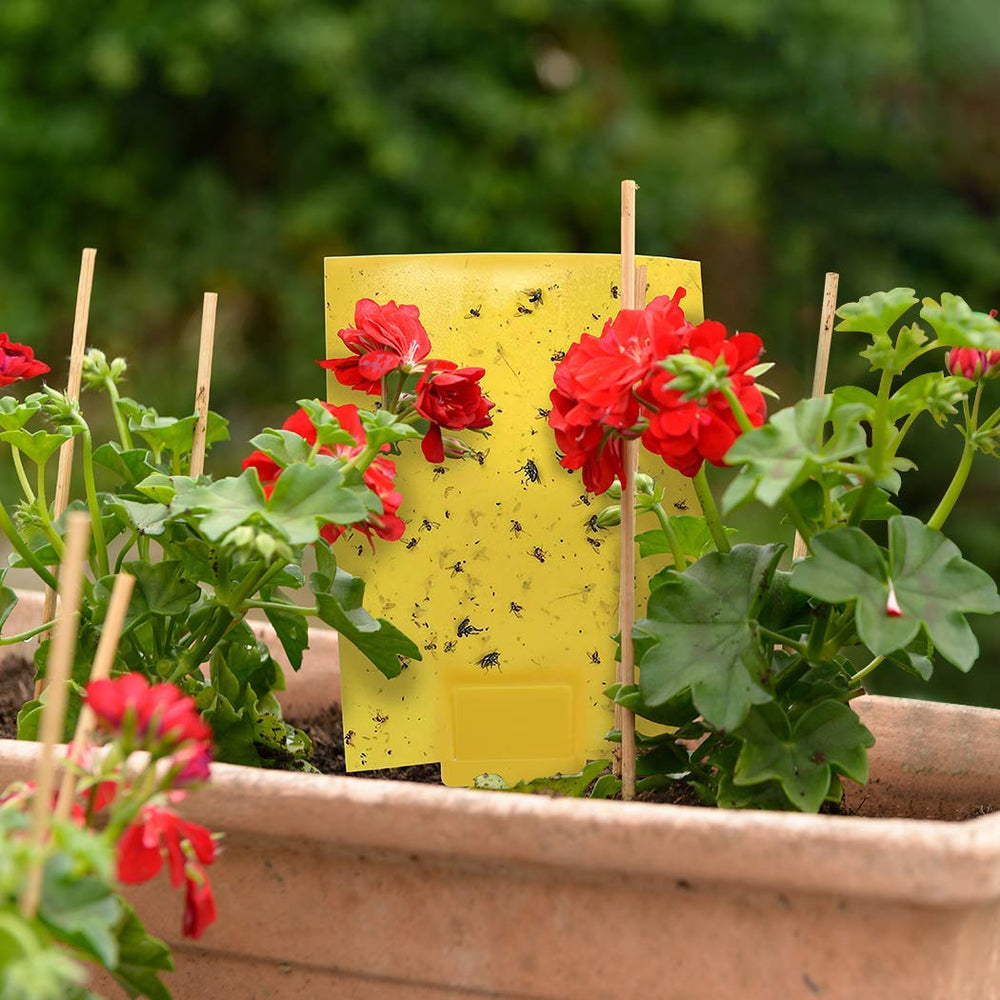 Gideal sticky traps packaging with included accessories
