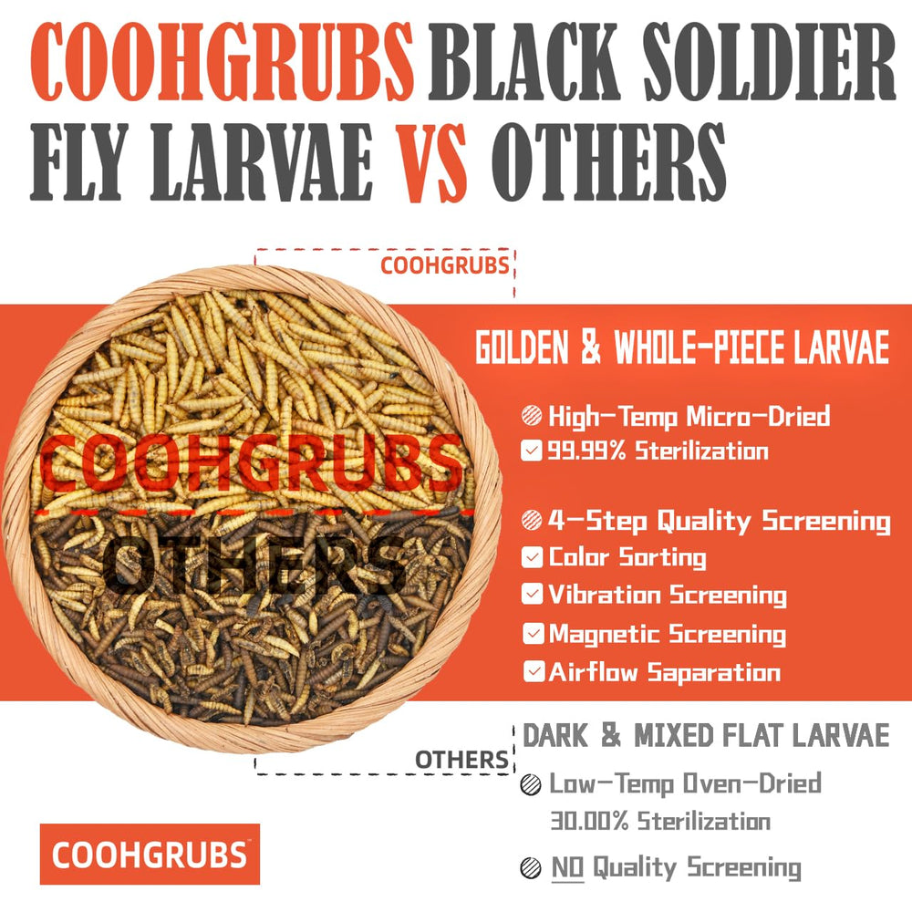 Gift box packaging of COOHGRUBS Dried Larvae