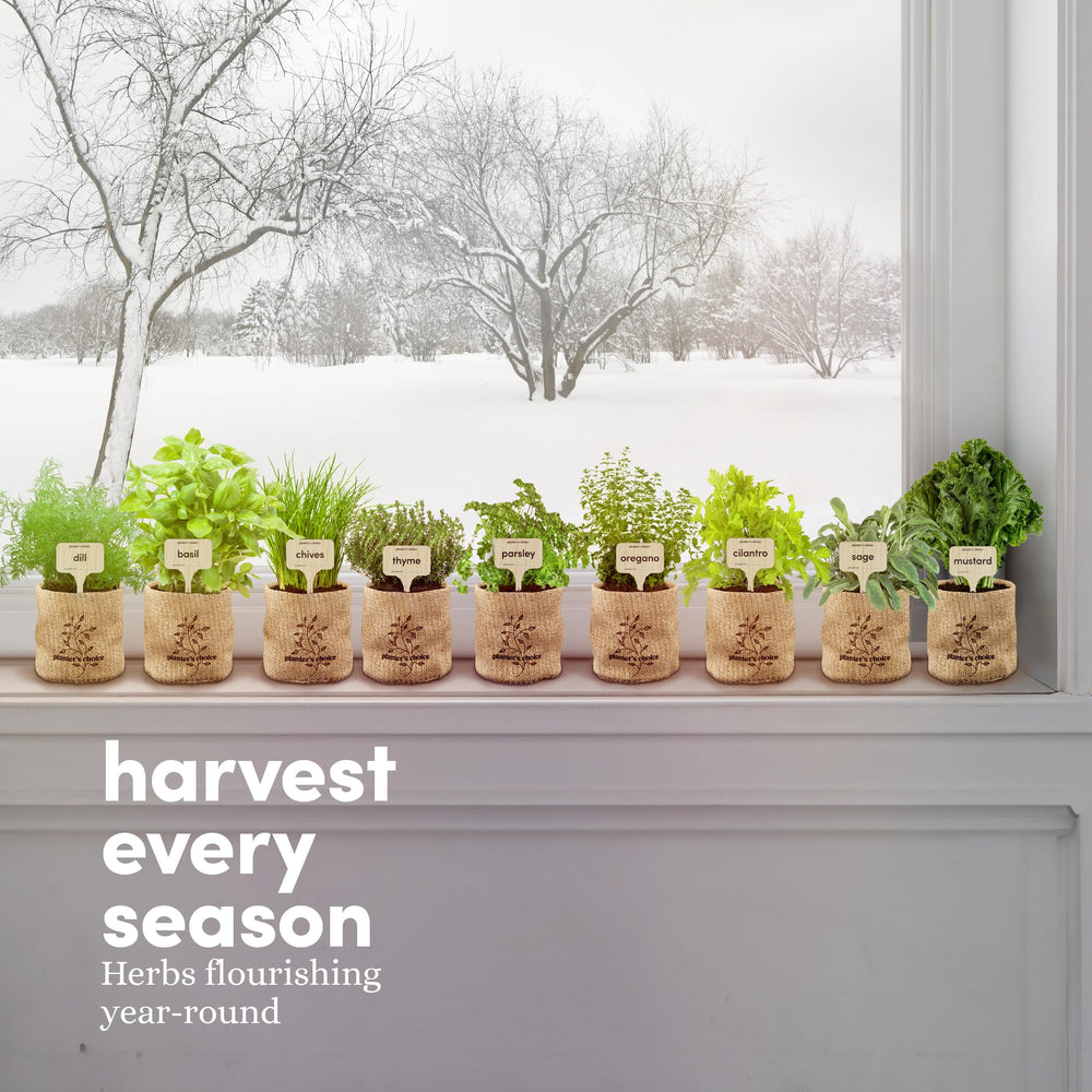 Gift presentation of the herb garden kit for special occasions
