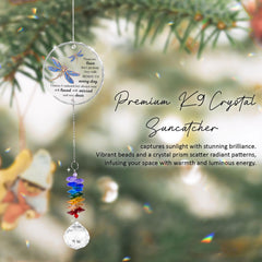 GIFTELIX suncatcher hanging in a window reflecting sunlight