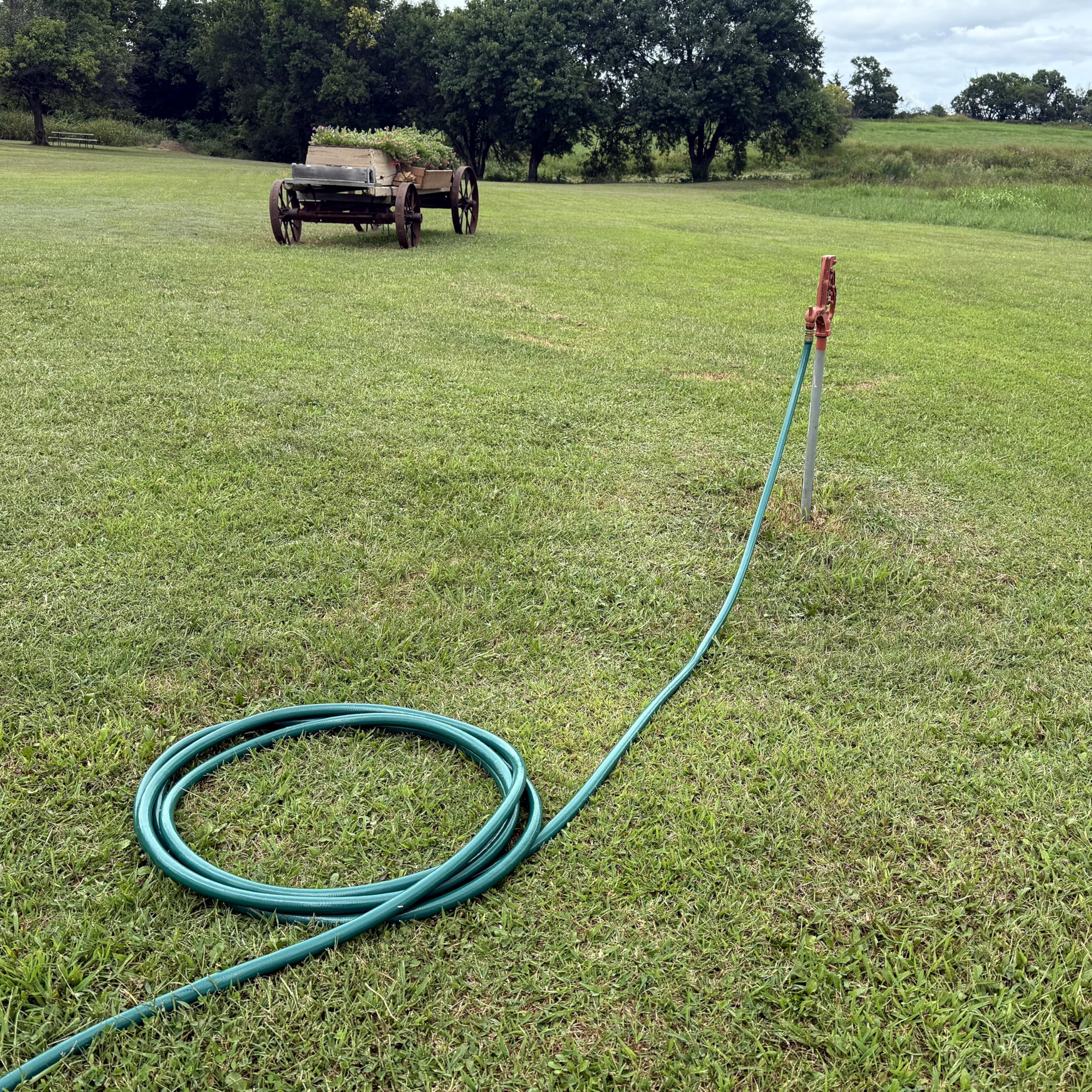 GILMOUR Flexogen Hose displayed outdoors in a garden setting