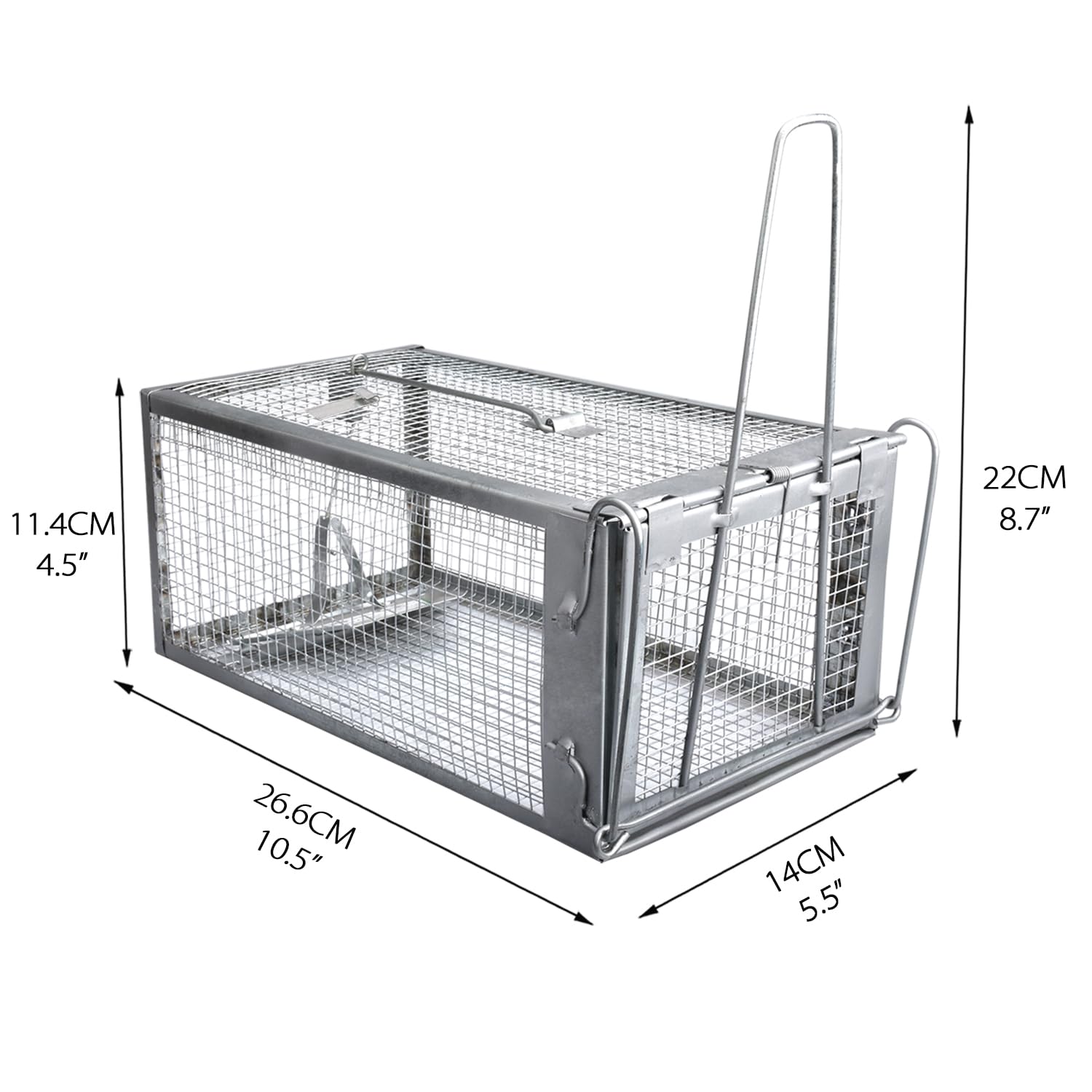 Gingbau humane traps in a garden setting